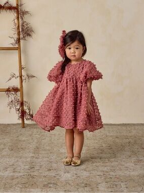 Noralee Luna dress in Raspberry